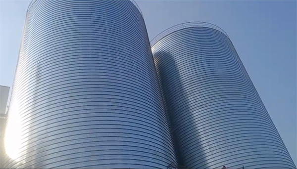 邵原镇2座混凝土高架卷板仓